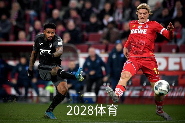 2028体育